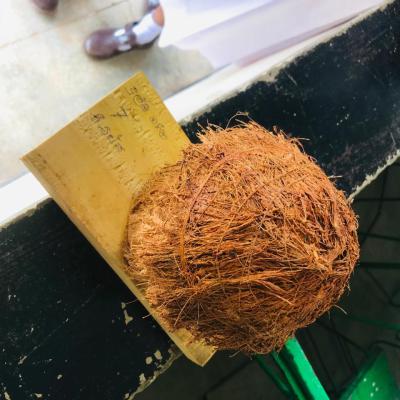 Whatsapp Image 2024 07 22 At 02.03.25 10