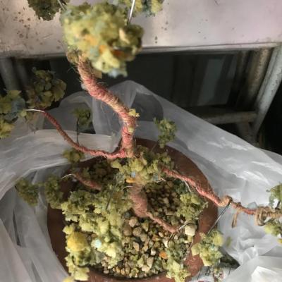 Whatsapp Image 2024 07 22 At 02.03.31 5